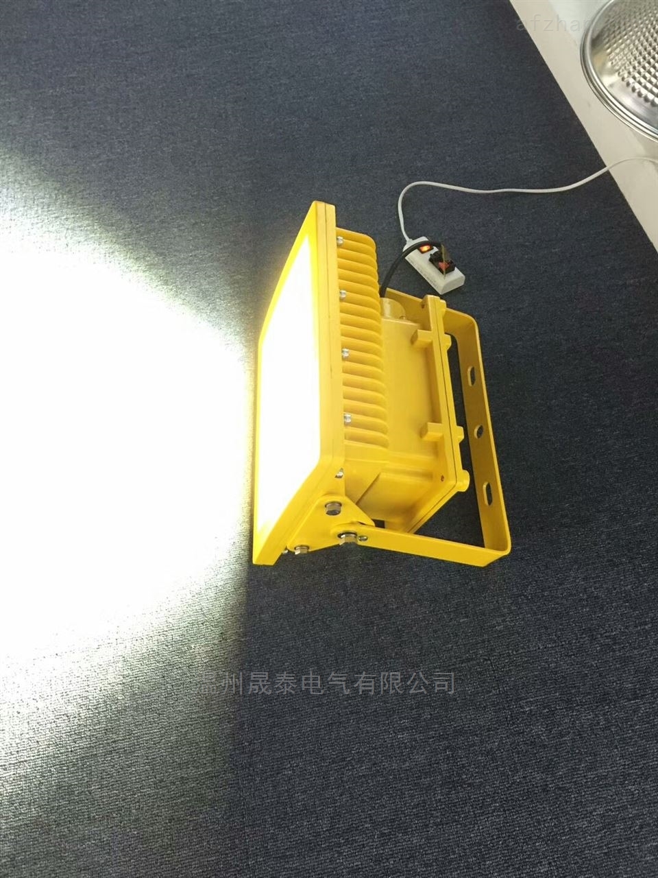工厂壁式LED防爆灯100W