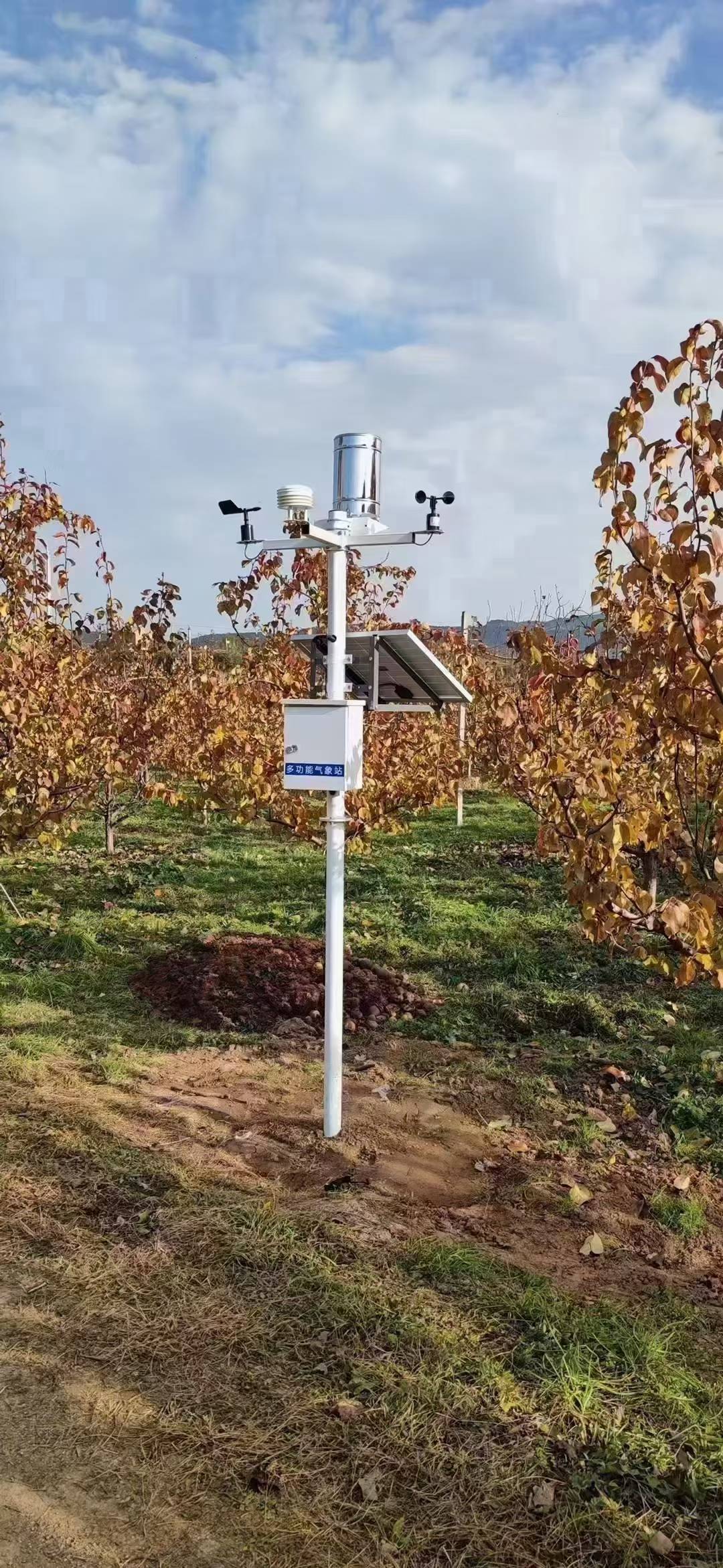 一站式气象监测系统