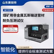 煤礦用非金屬瓦斯輸送管材耐負壓測試儀。