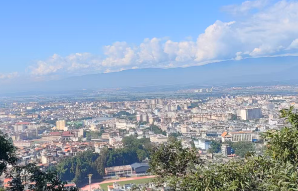 2026年安防两大巨头又涨价！后续市场行情如何？