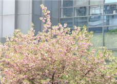 �ڶ����������λ������˶��Ὣ��8���ھ��ٰ�