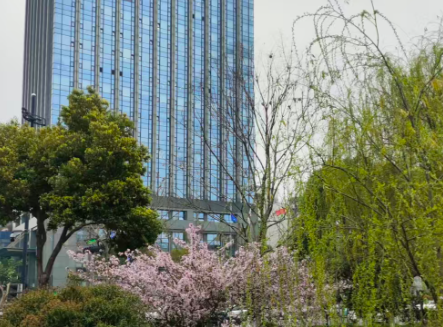 事关AI、算力、6G等 《关于推进服务业扩能提质的意见》印发