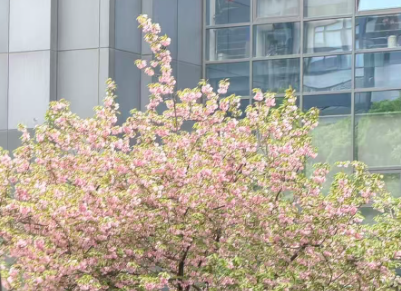 机器人能否接过牧羊鞭？“月薪1.6万招牧工”冲上热搜