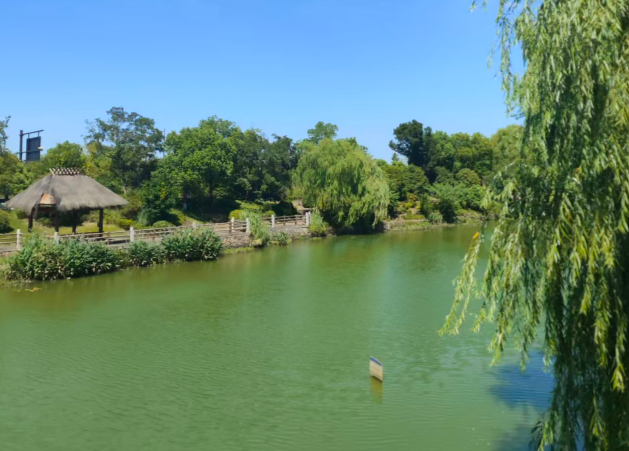 数智化加快形成和发展监测领域新质生产力