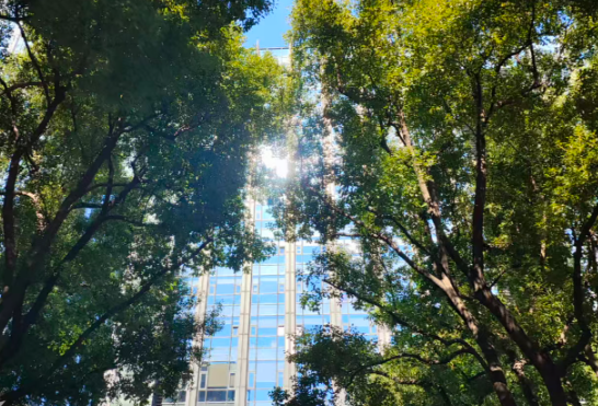 工信部、国家数据局启动2026年“模数共振”行动  依托重点城市打造智能体工厂