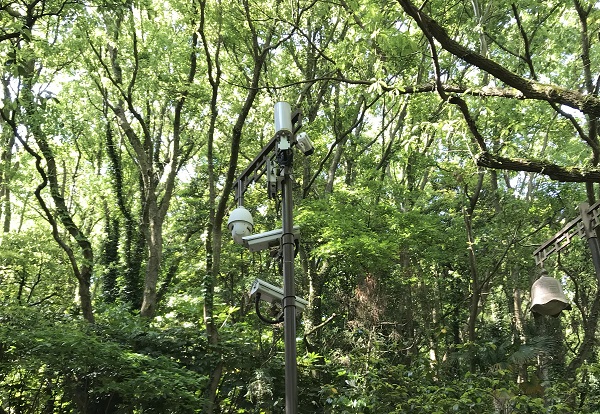 5月全国“雪亮工程”项目中标概览