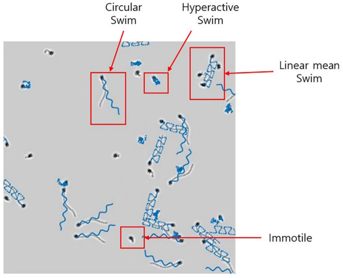 CASA算法的评估工具【1】
