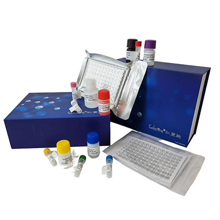 雞CD3分子elisa試劑盒 雞CD3分子elisa試劑盒